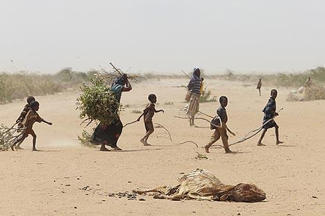 حملة رحماء لإغاثة الصومال